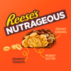REESE'S Peanut Butter Nutrageous Bar | 47g
