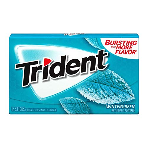 TRIDENT Gum Wintergreen | 14 Pieces