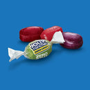 Jolly Rancher Sugar Free Hard Candy | 102g