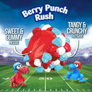 NERDS Gummy Clusters - Berry Punch 141g