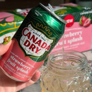 Canada Dry Strawberry Fruit Splash 355ml