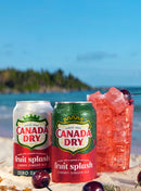Canada Dry Fruit Splash | Per Case x12
