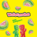 Sour Patch Kids Watermelon | 56g