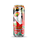 ARIZONA x Mike Hot Honey - Watermelon 650ml