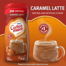 COFFEE MATE Powder Caramel Latte | 425g