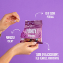 Pandy Winegums 50g