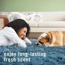 Febreze Fabric™ Pet Odor Fighter 438ml
