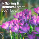 Tide Liquid High-Efficiency Spring & Renewal 52 Loads 2.15L