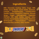 Snickers Butter Scotch | 22g