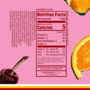 SPARKLING ICE Mini Fruit Punch Can 222ml