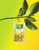 TIC TAC Citrus Adventure | 49g
