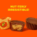 Reese’s Mini Peanut Butter Cups - Treat Bag